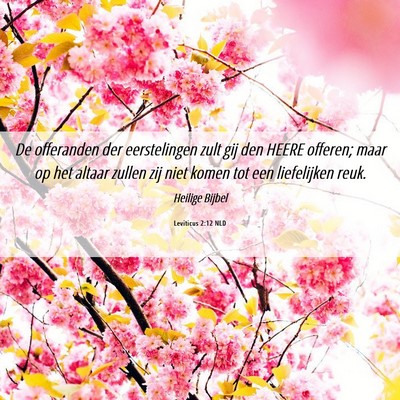 Picture 06 - Leviticus 2:12 NLD - De offeranden der eerstelingen zult gij den HEERE - Bible Verse Picture