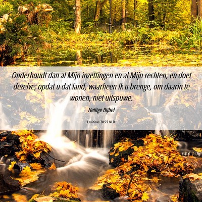 Picture 06 - Leviticus 20:22 NLD - Onderhoudt dan al Mijn inzettingen en al Mijn - Bible Verse Picture