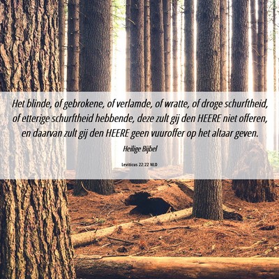 Picture 06 - Leviticus 22:22 NLD - Het blinde, of gebrokene, of verlamde, of wratte, - Bible Verse Picture