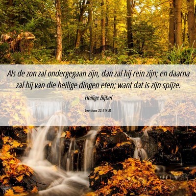 Picture 06 - Leviticus 22:7 NLD - Als de zon zal ondergegaan zijn, dan zal hij rein - Bible Verse Picture
