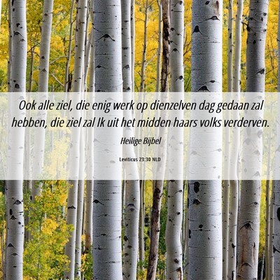 Picture 06 - Leviticus 23:30 NLD - Ook alle ziel, die enig werk op dienzelven dag - Bible Verse Picture
