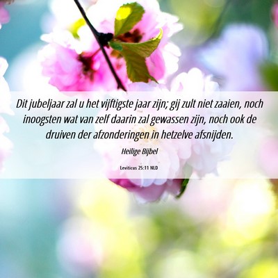 Picture 06 - Leviticus 25:11 NLD - Dit jubeljaar zal u het vijftigste jaar zijn; gij - Bible Verse Picture