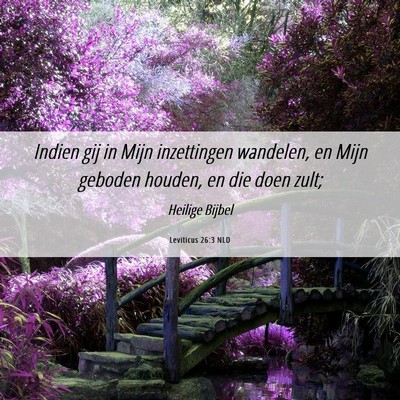 Picture 06 - Leviticus 26:3 NLD - Indien gij in Mijn inzettingen wandelen, en Mijn - Bible Verse Picture
