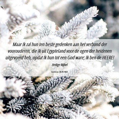 Picture 06 - Leviticus 26:45 NLD - Maar Ik zal hun ten beste gedenken aan het - Bible Verse Picture