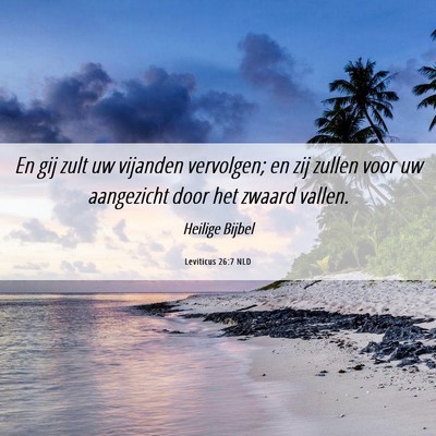 Picture 06 - Leviticus 26:7 NLD - En gij zult uw vijanden vervolgen; en zij zullen - Bible Verse Picture