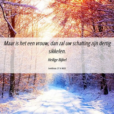 Picture 06 - Leviticus 27:4 NLD - Maar is het een vrouw, dan zal uw schatting zijn - Bible Verse Picture