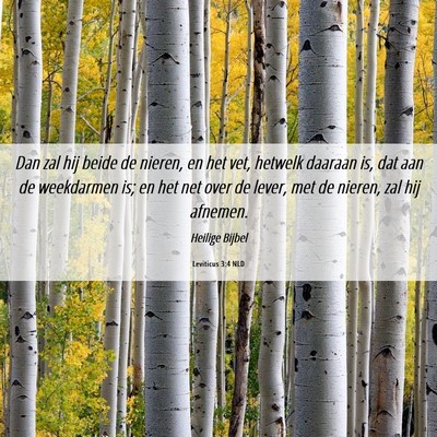 Picture 06 - Leviticus 3:4 NLD - Dan zal hij beide de nieren, en het vet, hetwelk - Bible Verse Picture
