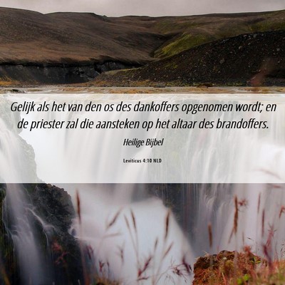 Picture 06 - Leviticus 4:10 NLD - Gelijk als het van den os des dankoffers - Bible Verse Picture