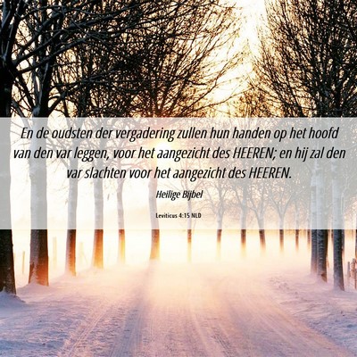 Picture 06 - Leviticus 4:15 NLD - En de oudsten der vergadering zullen hun handen - Bible Verse Picture
