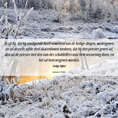 Picture 06 - Leviticus 5:16 NLD - Zo zal hij, dat hij zondigende heeft onwetend van - Bible Verse Picture