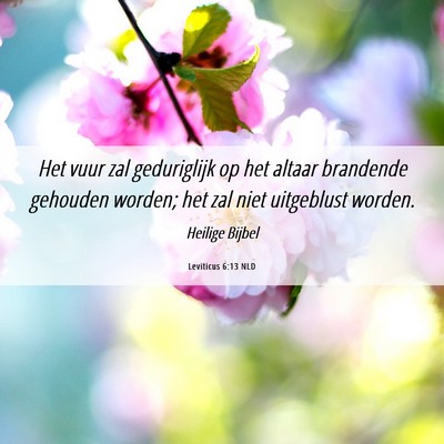 Picture 06 - Leviticus 6:13 NLD - Het vuur zal geduriglijk op het altaar brandende - Bible Verse Picture