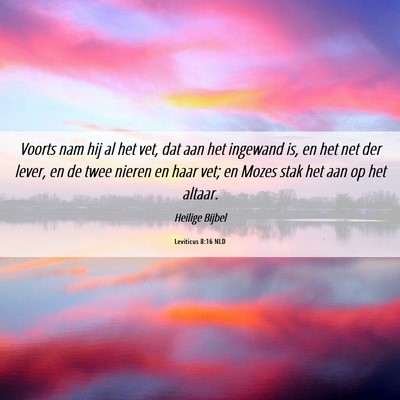 Picture 06 - Leviticus 8:16 NLD - Voorts nam hij al het vet, dat aan het ingewand - Bible Verse Picture