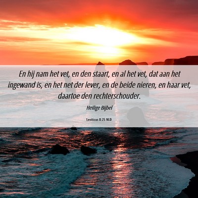 Picture 06 - Leviticus 8:25 NLD - En hij nam het vet, en den staart, en al het vet, - Bible Verse Picture