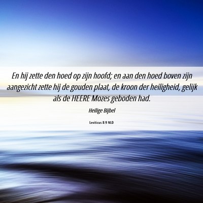 Picture 06 - Leviticus 8:9 NLD - En hij zette den hoed op zijn hoofd; en aan den - Bible Verse Picture