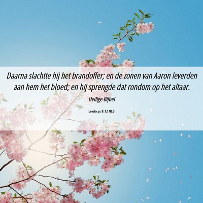 Picture 06 - Leviticus 9:12 NLD - Daarna slachtte hij het brandoffer; en de zonen - Bible Verse Picture