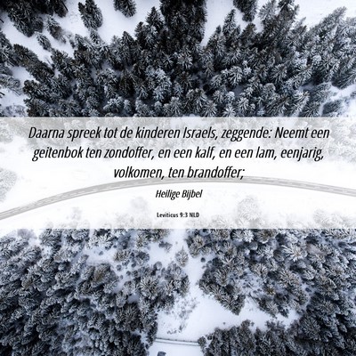 Picture 06 - Leviticus 9:3 NLD - Daarna spreek tot de kinderen Israels, zeggende: - Bible Verse Picture