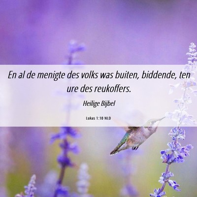 Picture 06 - Lukas 1:10 NLD - En al de menigte des volks was buiten, biddende, - Bible Verse Picture
