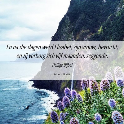 Picture 06 - Lukas 1:24 NLD - En na die dagen werd Elizabet, zijn vrouw, - Bible Verse Picture
