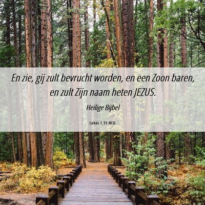 Picture 06 - Lukas 1:31 NLD - En zie, gij zult bevrucht worden, en een Zoon - Bible Verse Picture