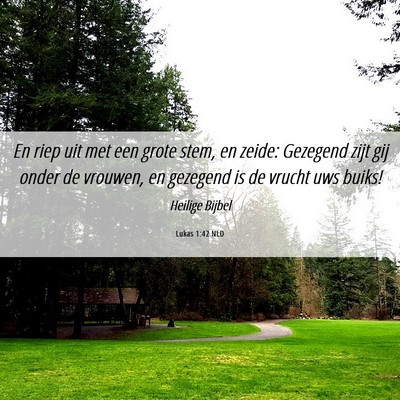 Picture 06 - Lukas 1:42 NLD - En riep uit met een grote stem, en zeide: - Bible Verse Picture
