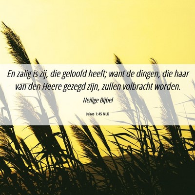 Picture 06 - Lukas 1:45 NLD - En zalig is zij, die geloofd heeft; want de - Bible Verse Picture