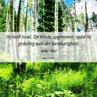 Picture 06 - Lukas 1:54 NLD - Hij heeft Israel, Zijn knecht, opgenomen, opdat - Bible Verse Picture