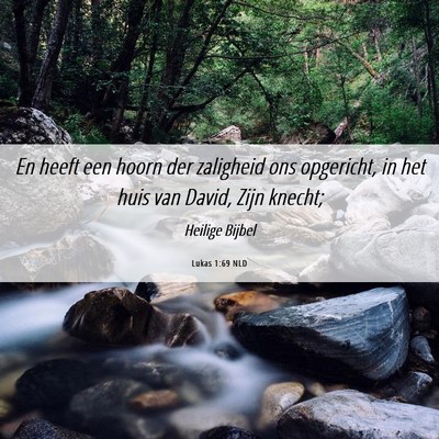 Picture 06 - Lukas 1:69 NLD - En heeft een hoorn der zaligheid ons opgericht, - Bible Verse Picture