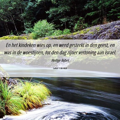 Picture 06 - Lukas 1:80 NLD - En het kindeken wies op, en werd gesterkt in den - Bible Verse Picture