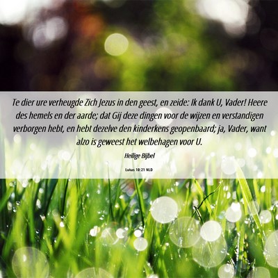 Picture 06 - Lukas 10:21 NLD - Te dier ure verheugde Zich Jezus in den geest, en - Bible Verse Picture