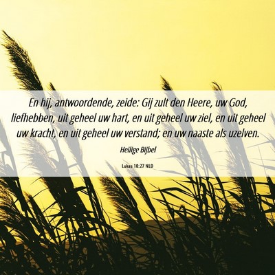 Picture 06 - Lukas 10:27 NLD - En hij, antwoordende, zeide: Gij zult den Heere, - Bible Verse Picture