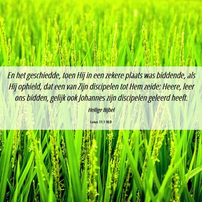 Picture 06 - Lukas 11:1 NLD - En het geschiedde, toen Hij in een zekere plaats - Bible Verse Picture