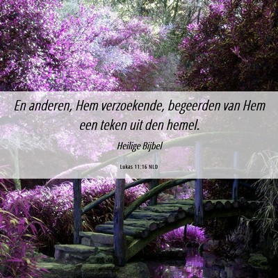 Picture 06 - Lukas 11:16 NLD - En anderen, Hem verzoekende, begeerden van Hem - Bible Verse Picture