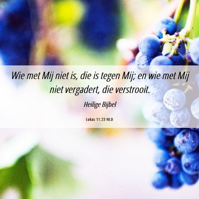 Picture 06 - Lukas 11:23 NLD - Wie met Mij niet is, die is tegen Mij; en wie met - Bible Verse Picture