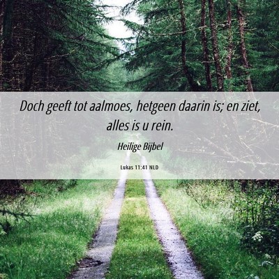 Picture 06 - Lukas 11:41 NLD - Doch geeft tot aalmoes, hetgeen daarin is; en - Bible Verse Picture