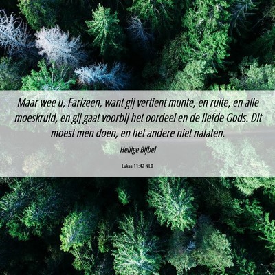 Picture 06 - Lukas 11:42 NLD - Maar wee u, Farizeen, want gij vertient munte, en - Bible Verse Picture