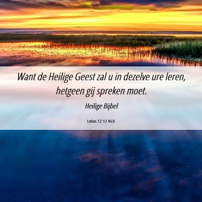 Picture 06 - Lukas 12:12 NLD - Want de Heilige Geest zal u in dezelve ure leren, - Bible Verse Picture