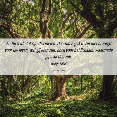 Picture 06 - Lukas 12:22 NLD - En Hij zeide tot Zijn discipelen: Daarom zeg Ik - Bible Verse Picture