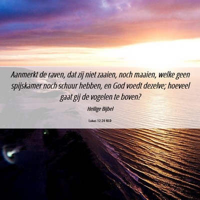 Picture 06 - Lukas 12:24 NLD - Aanmerkt de raven, dat zij niet zaaien, noch - Bible Verse Picture