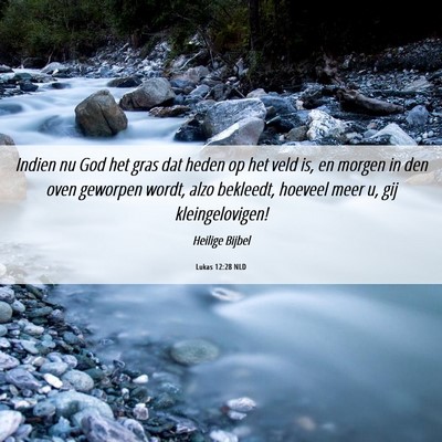Picture 06 - Lukas 12:28 NLD - Indien nu God het gras dat heden op het veld is, - Bible Verse Picture