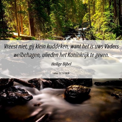 Picture 06 - Lukas 12:32 NLD - Vreest niet, gij klein kuddeken, want het is uws - Bible Verse Picture