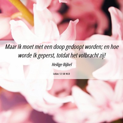 Picture 06 - Lukas 12:50 NLD - Maar Ik moet met een doop gedoopt worden; en hoe - Bible Verse Picture