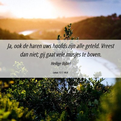 Picture 06 - Lukas 12:7 NLD - Ja, ook de haren uws hoofds zijn alle geteld. - Bible Verse Picture