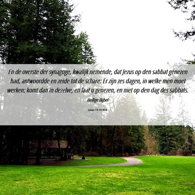 Picture 06 - Lukas 13:14 NLD - En de overste der synagoge, kwalijk nemende, dat - Bible Verse Picture