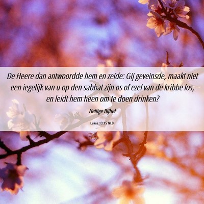 Picture 06 - Lukas 13:15 NLD - De Heere dan antwoordde hem en zeide: Gij - Bible Verse Picture