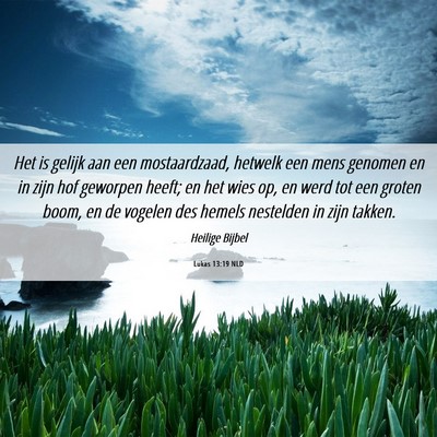 Picture 06 - Lukas 13:19 NLD - Het is gelijk aan een mostaardzaad, hetwelk een - Bible Verse Picture