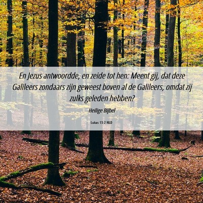 Picture 06 - Lukas 13:2 NLD - En Jezus antwoordde, en zeide tot hen: Meent gij, - Bible Verse Picture
