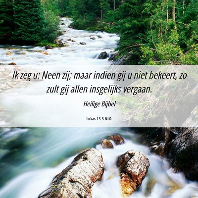 Picture 06 - Lukas 13:5 NLD - Ik zeg u: Neen zij; maar indien gij u niet - Bible Verse Picture