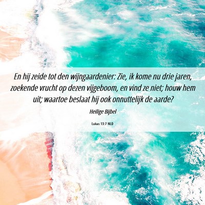 Picture 06 - Lukas 13:7 NLD - En hij zeide tot den wijngaardenier: Zie, ik kome - Bible Verse Picture