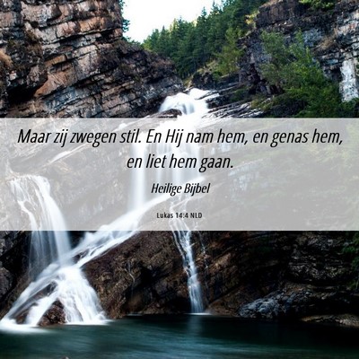 Picture 06 - Lukas 14:4 NLD - Maar zij zwegen stil. En Hij nam hem, en genas - Bible Verse Picture