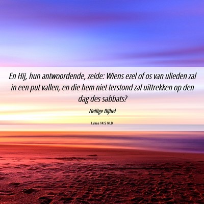 Picture 06 - Lukas 14:5 NLD - En Hij, hun antwoordende, zeide: Wiens ezel of os - Bible Verse Picture